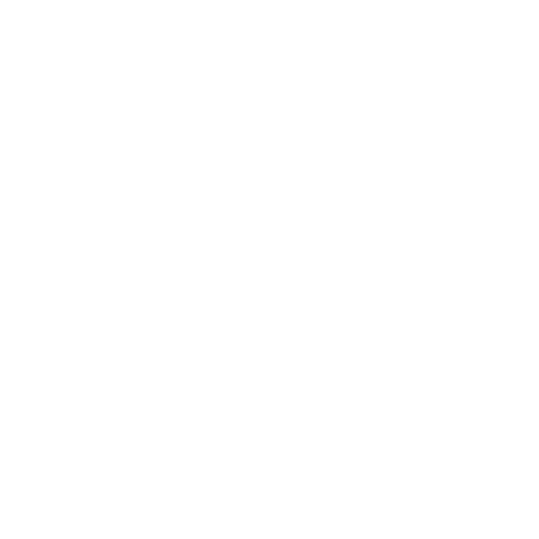 Shield Icon